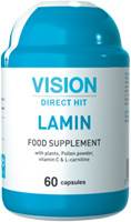 Lamin Vision( NGƯNG SẢN XUẤT)
