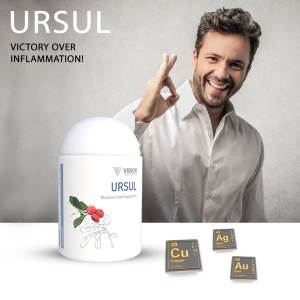  URSUL VISION